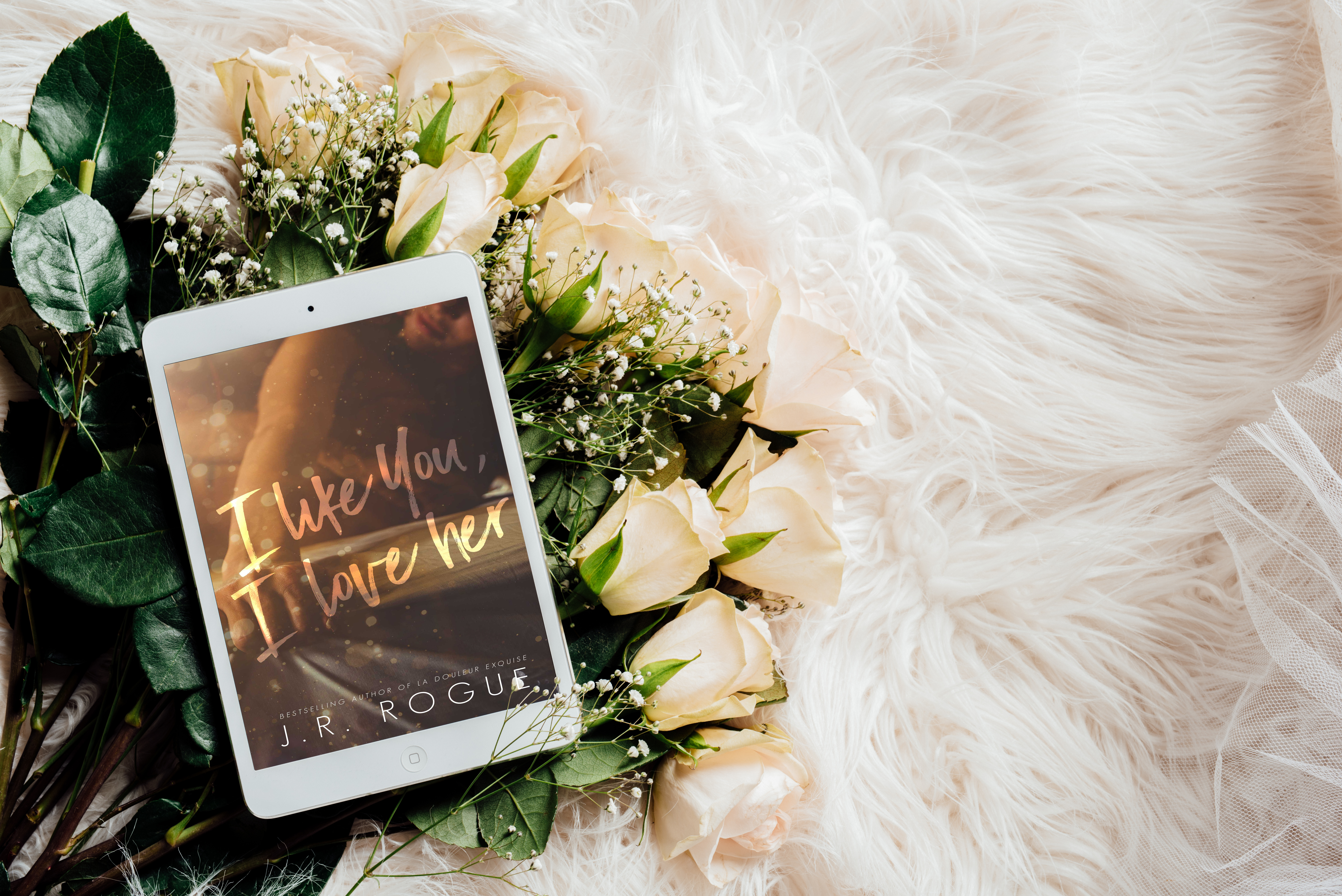 DSC_2721-template 2.JPG