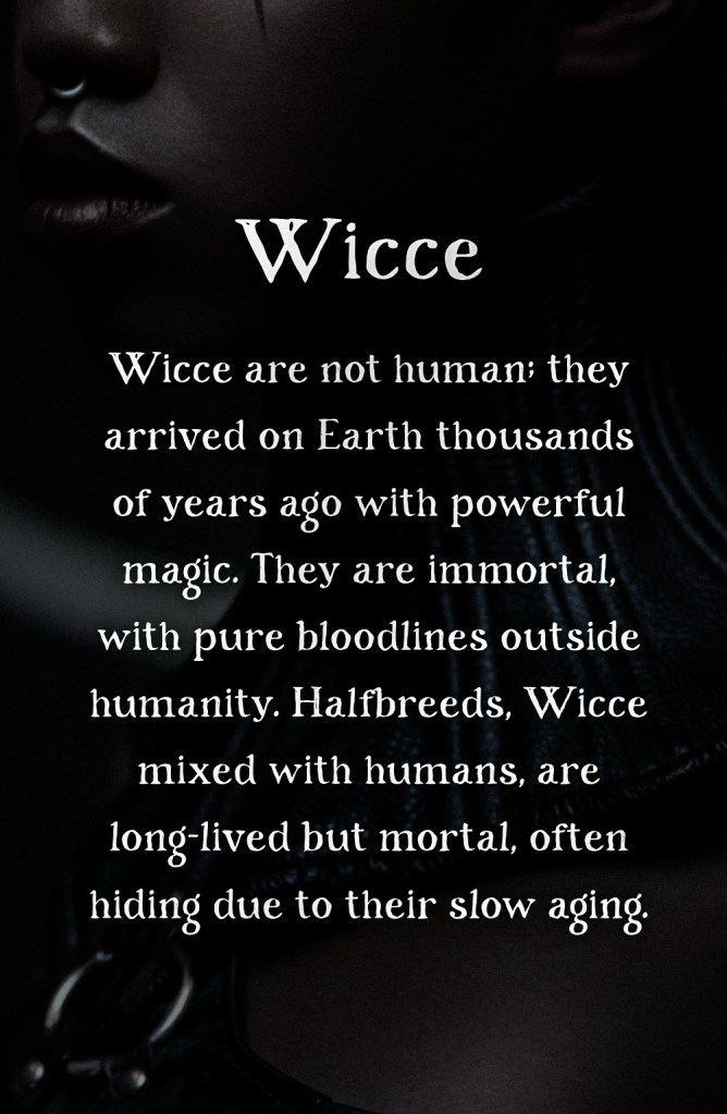 bookbrushimage-2026-2-11-8-3537